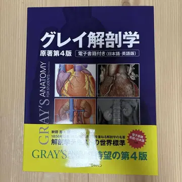 그레이 해부학