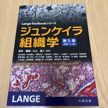 준케이라 조직학