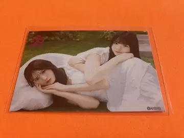 미즈시마 미유 오가 사키 AKB48 20주년 특전 미니 카드