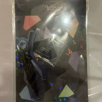 트위스테 브레이징 주얼 아크릴 스탠드 오르토 3D 라이브