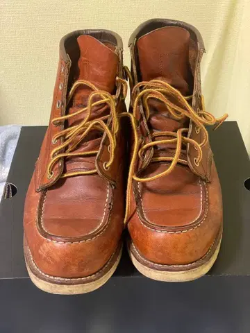 레드윙 875 아이리쉬 세터 27.5cm
