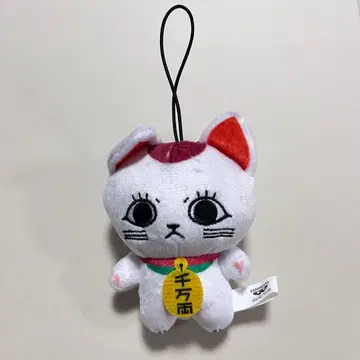 터보 바바아 치밋토모 누이