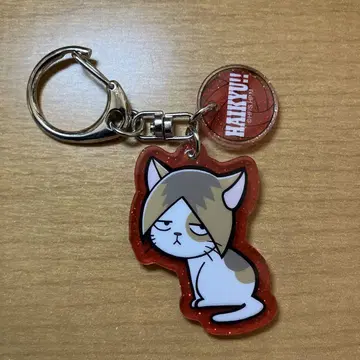 하이큐 코즈메 켄마 켄마 고양이 동물 라메 아크릴 키링