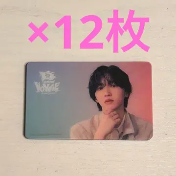 미치에다 슌스케 BON BON VOYAGE 클리어 솔로 카드 12장 세트