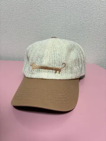 캡 브라운 개