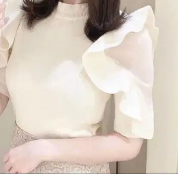 스나이델