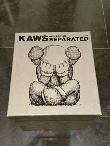 KAWS Separated Vinyl Figure Brown 카우스