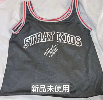 stray kids 스키즈 업그레이드 혜택 메쉬 백 시즈오카 에코파