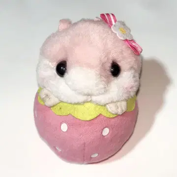 코로하무 콜론 딸기 마스코트 키링