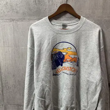 I253 맨투맨 90s 00s 빈티지 Y2K GILDAN 아메카지