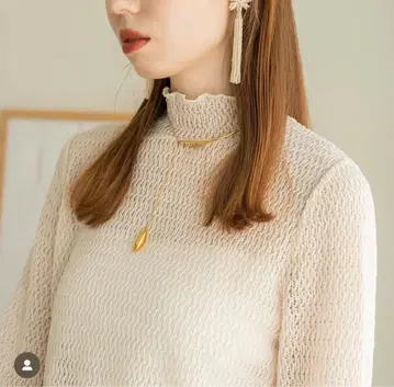 hinari 하이넥 메쉬 티셔츠