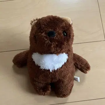 곰 테디베어 봉제 인형 미사용 새상품 통통한 베어의 문