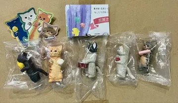 하나후사 사쿠라 고양이의 음악회 특전 포함 한정판