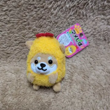 여행하는 마메시바 에비후랴-