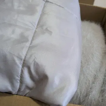 피피 씨