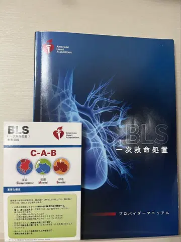 BLS 기본 인명 구조 프로바이더 매뉴얼