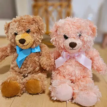 테디베어 Honey Teddy Bear 2세트