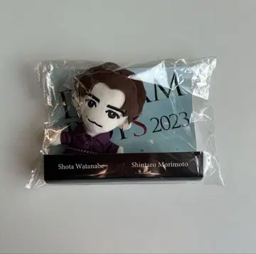 DREAM BOYS 2023 와타나베 쇼타 봉제 인형