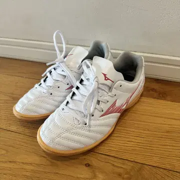 Mizuno 모나르시다 네오 실내용 22.0cm (2025 구매)