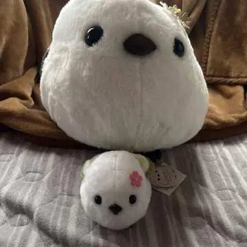 시마연가 봉제 인형 세트