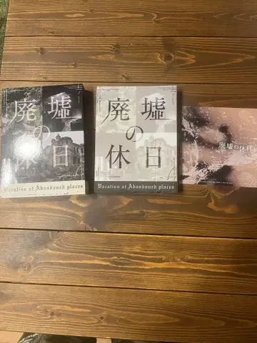 폐허의 휴일 DVD