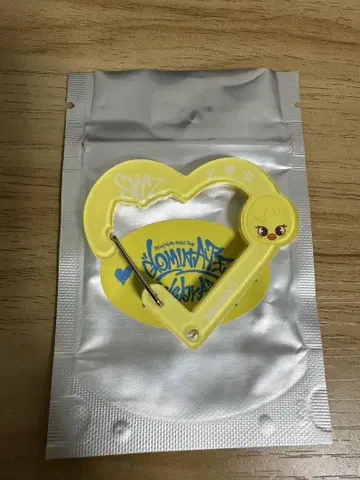SKZOO SECRET ACRYLIC CARABINER 포가리
