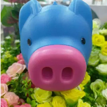 서인국 쇼핑왕 루이 돼지 저금통