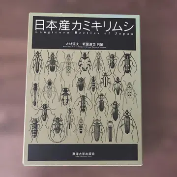 일본산 하늘소