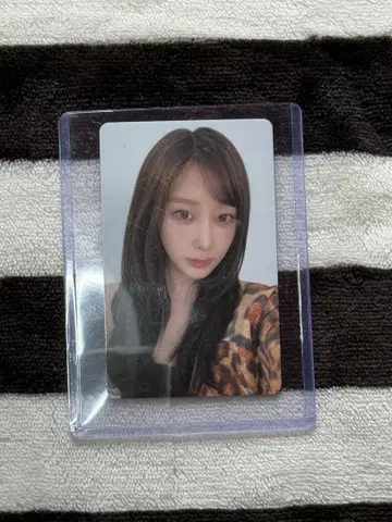 지젤 6000엔 혜택