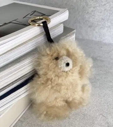 LE TALON COSY/코지 베어 백참 IENA 팬에게도