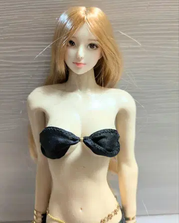 1/6 인형 헤드 투명 케이스 포함!!