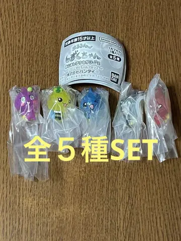 푸르룽 물방울 메지루시 액세서리2 전 5종 SET