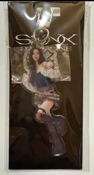 aespa 아크릴 키링 KARINA 카리나