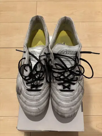 모렐리아 DNA 한정판 모델 27cm