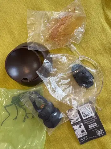 생물대도감 사슴벌레 04 넓적사슴벌레와 줄무늬긴수염풍뎅이