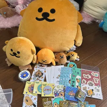 랏코즈 모음 판매