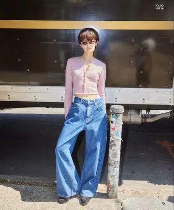[한정판] SHISHIKUI MANY BOTAN/PINK