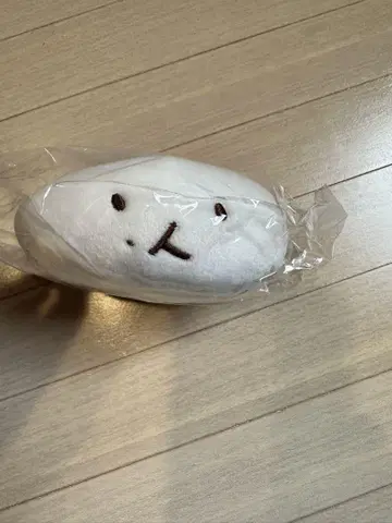 트레기 백현