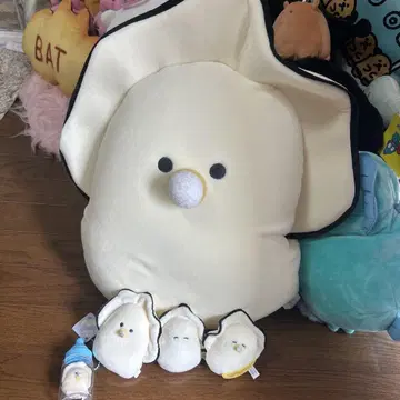 생굴 아기
