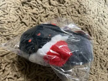 미개봉 새상품 쵸콘과 여우 뒹굴뒹굴 졸린 봉제 인형 요우칸