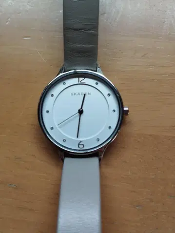 SKAGEN 아날로그 손목시계 실버