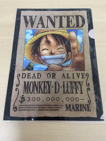 ONE PIECE 몽키 D 루피 클리어 파일