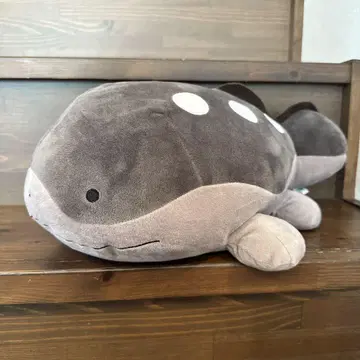 포켓몬 도오 봉제 인형
