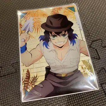 귀멸의 칼날 선샤인 시티 가라폰 A상 하시비라 이노스케