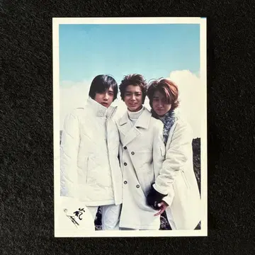 아라시 공식 사진(198)