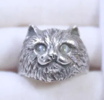 고양이 실버 반지 캣츠아이 SILVER925