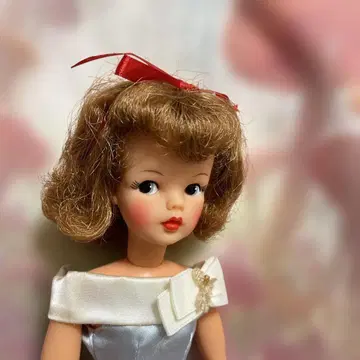 귀여운 태미 인형.