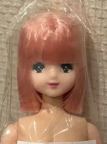 미개봉 새상품 리카짱 캐슬 오타노시미 인형 유메카짱 밥 핑크