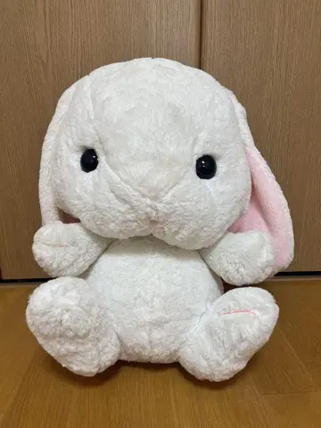 포테우사 롯삐 BIG 봉제 인형 시로삐