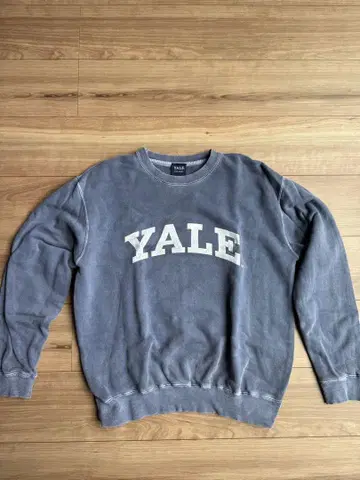 YALE 블루 트레이닝복 사이즈 F